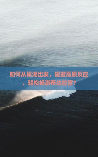如何从巢湖出发，规避高原反应，轻松畅游布达拉宫？