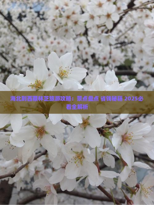 海北到西藏林芝哪里玩