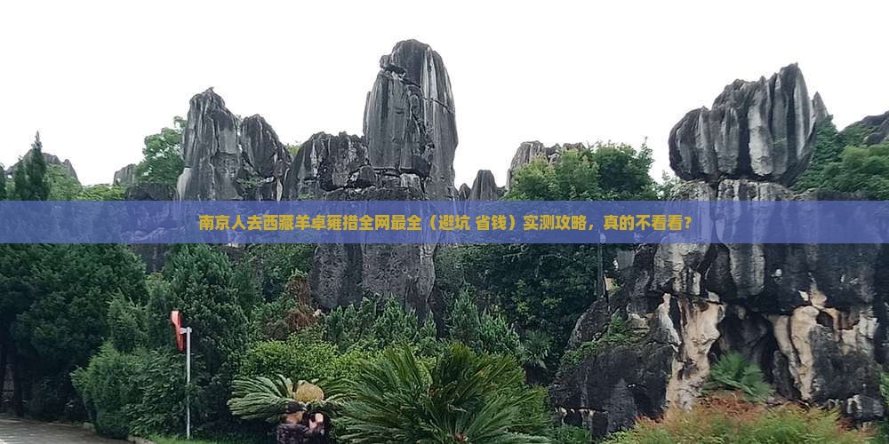 南京去西藏羊卓雍措攻略