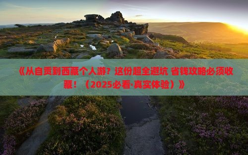 自贡去西藏个人游