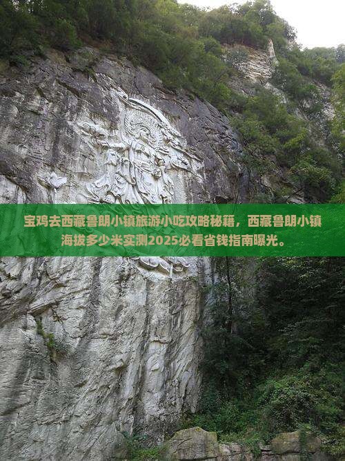 宝鸡去西藏鲁朗小镇旅游小吃