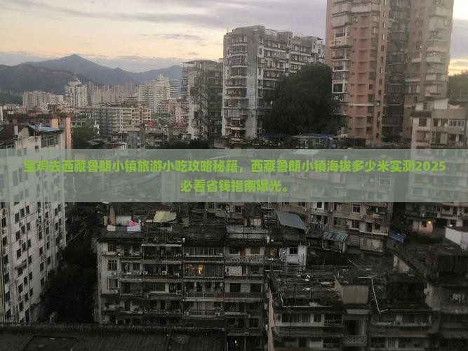 宝鸡去西藏鲁朗小镇旅游小吃