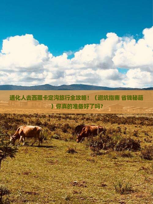 通化去西藏卡定沟团体旅游