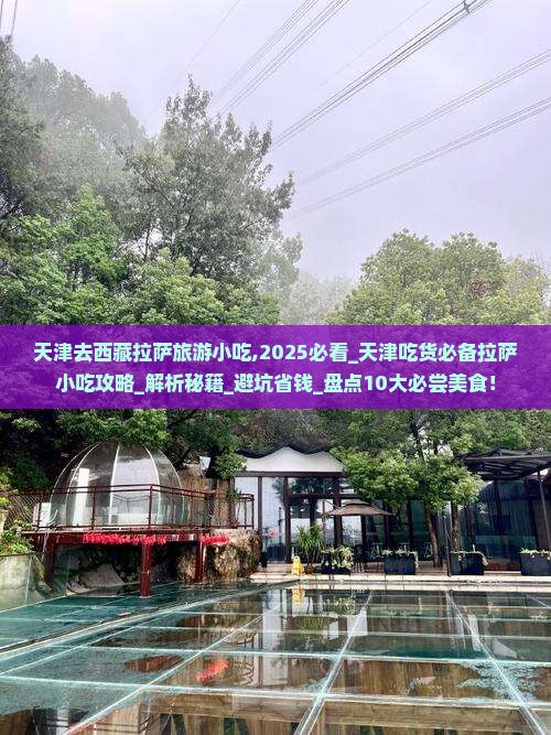 天津去西藏拉萨旅游小吃