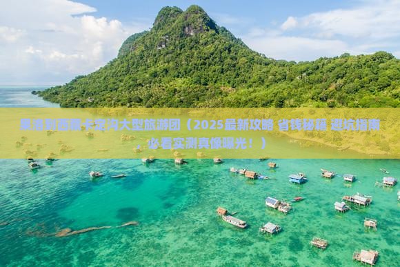 果洛到西藏卡定沟大型旅游团