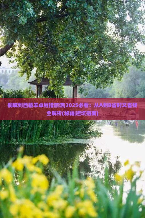 桐城到西藏羊卓雍措旅游