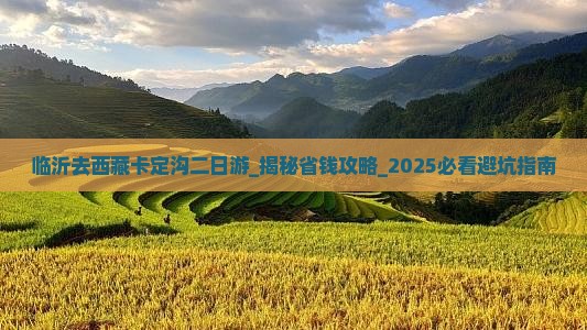 临沂去西藏卡定沟二日游