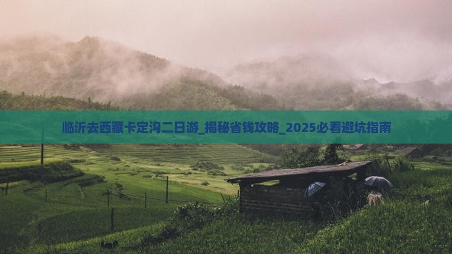 临沂去西藏卡定沟二日游