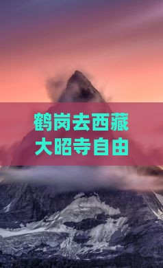 鹤岗去西藏大昭寺自由行