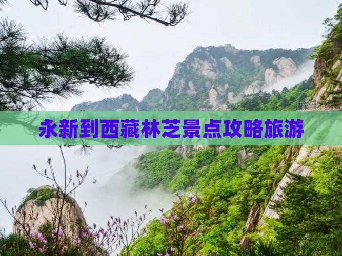 永新到西藏林芝景点