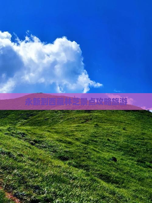 永新到西藏林芝景点