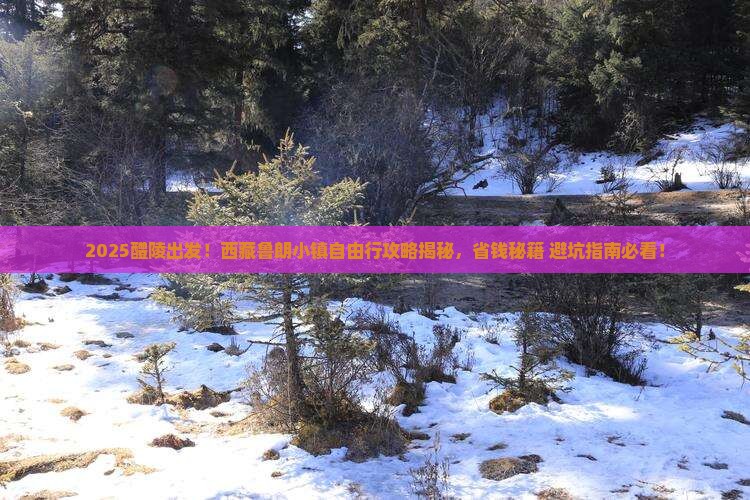 醴陵到西藏鲁朗小镇自由团