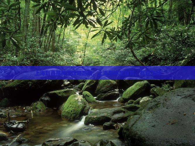 上海到西藏林芝攻略