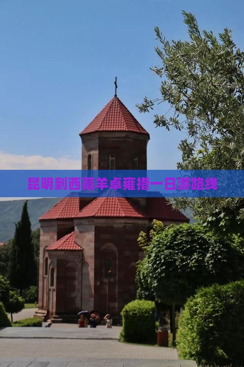 昆明到西藏羊卓雍措一日