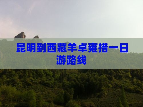 昆明到西藏羊卓雍措一日