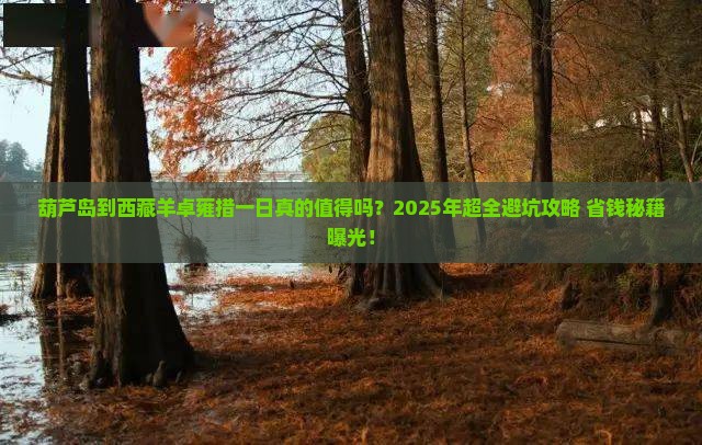 葫芦岛到西藏羊卓雍措一日