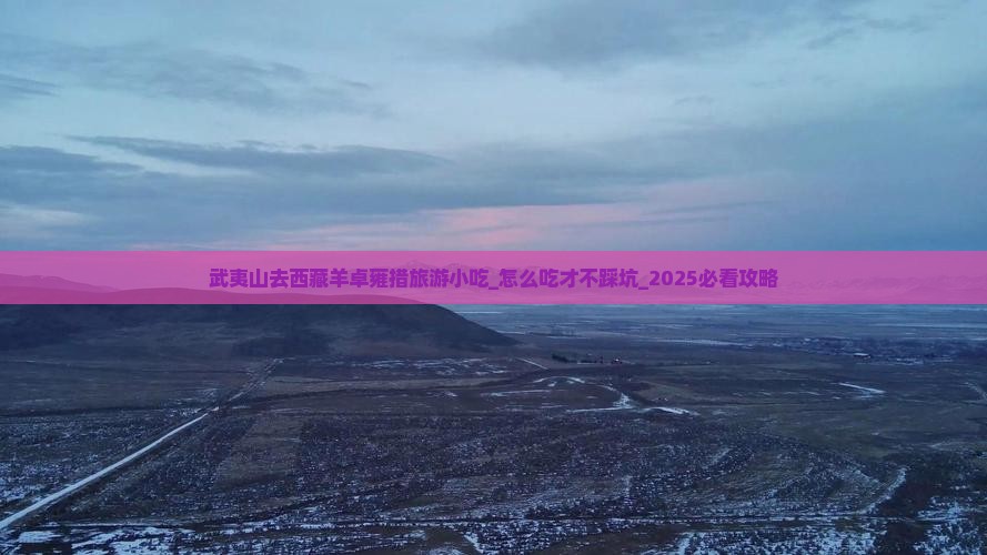 武夷山去西藏羊卓雍措旅游小吃