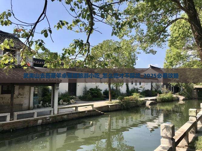 武夷山去西藏羊卓雍措旅游小吃