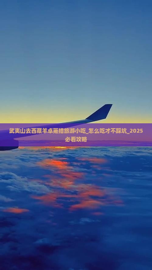 武夷山去西藏羊卓雍措旅游小吃