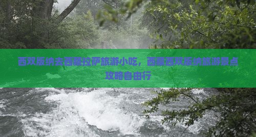 西双版纳去西藏拉萨旅游小吃
