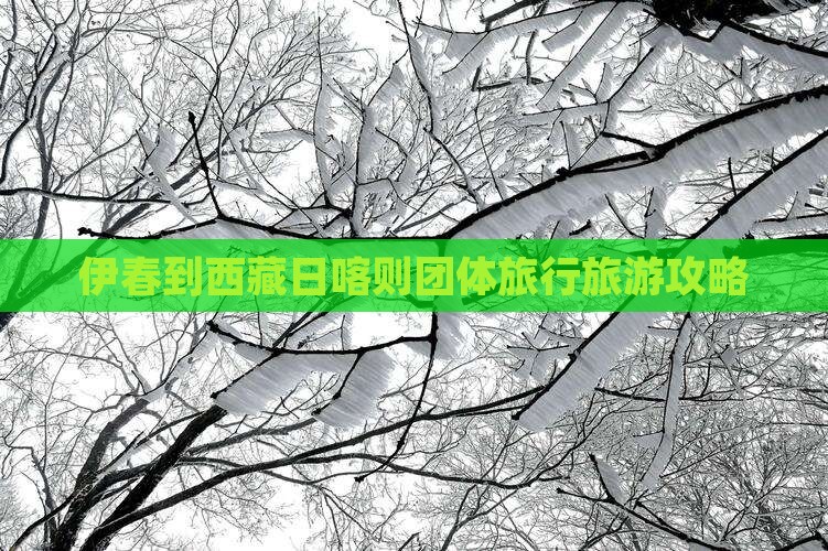 伊春到西藏日喀则团体旅游