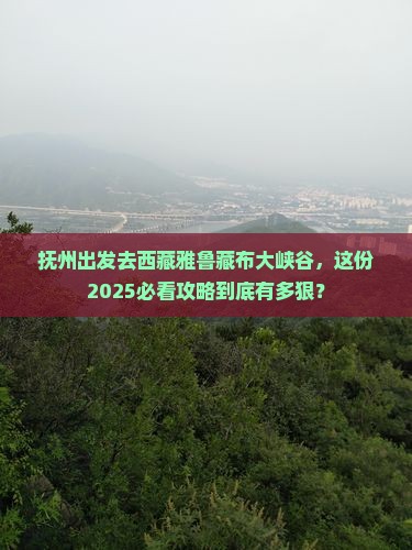 抚州去西藏雅鲁藏布大峡谷旅行社