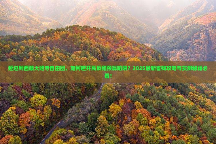 延边到西藏大昭寺自由团