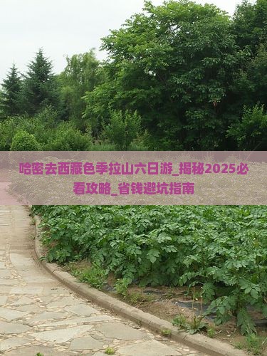 哈密去西藏色季拉山六日游