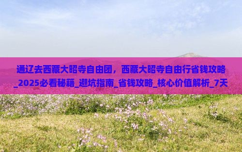 通辽去西藏大昭寺自由团