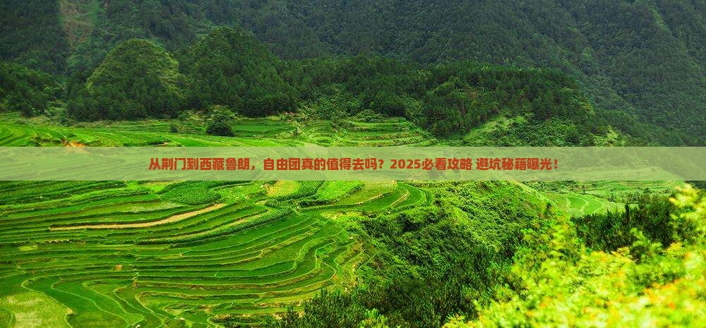 荆门到西藏鲁朗小镇自由团