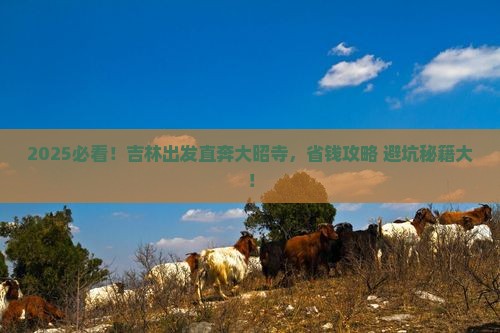 吉林到西藏大昭寺旅行社
