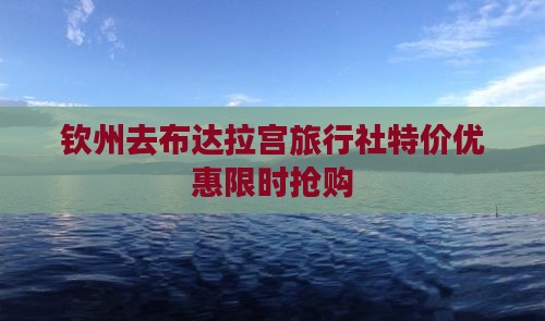 钦州去西藏布达拉宫旅行社