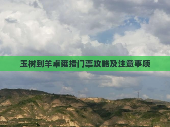 玉树到西藏羊卓雍措门票