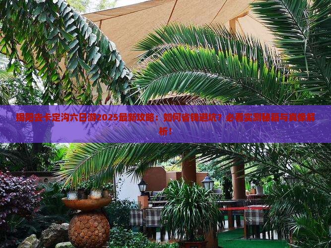 揭阳去西藏卡定沟六日游