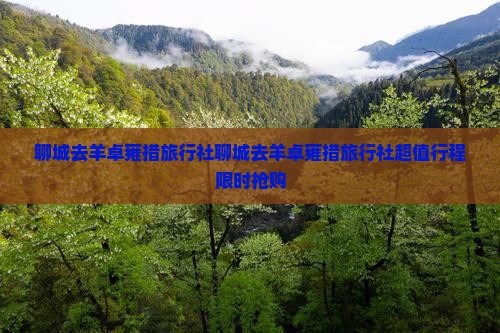 聊城去西藏羊卓雍措旅行社