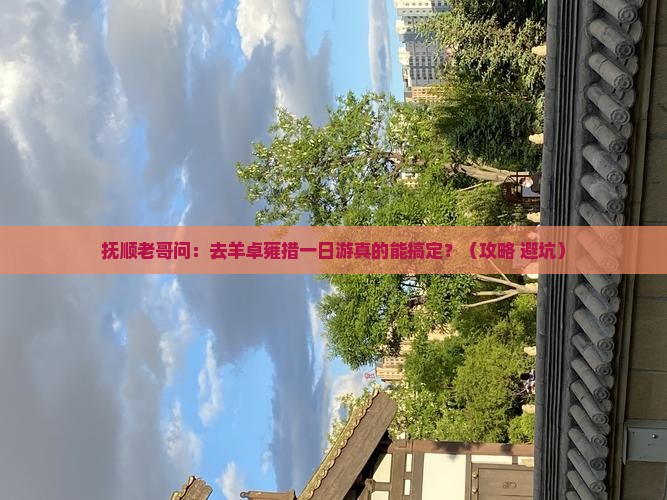 抚顺到西藏羊卓雍措一日