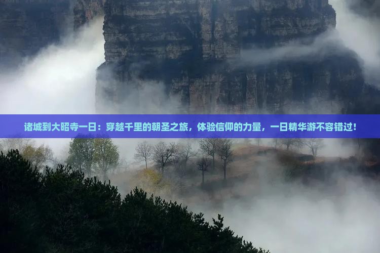 诸城到西藏大昭寺一日