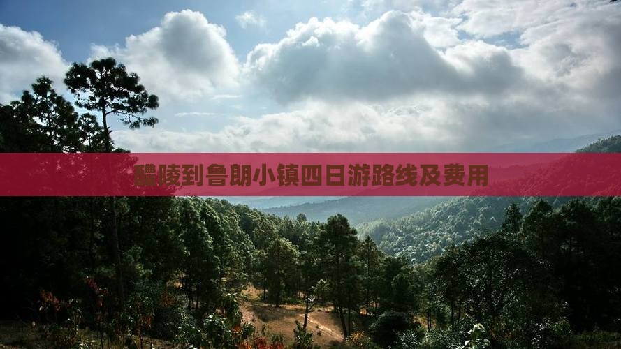 醴陵到西藏鲁朗小镇四日游