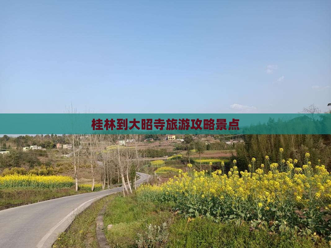 桂林到西藏大昭寺景点