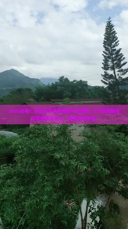 海北去西藏羊卓雍措旅行社