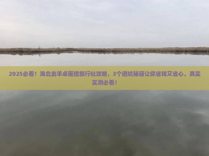海北去西藏羊卓雍措旅行社