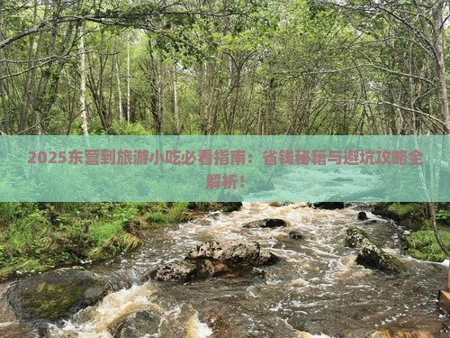 东营到西藏旅游小吃