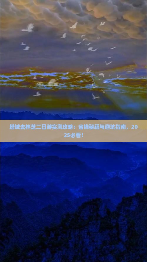 塔城去西藏林芝二日游