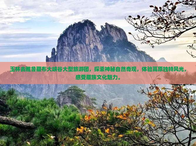 玉林去西藏雅鲁藏布大峡谷大型旅游团