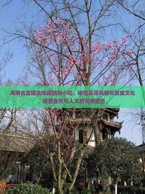 海南省直辖去西藏珠峰大本营旅游小吃