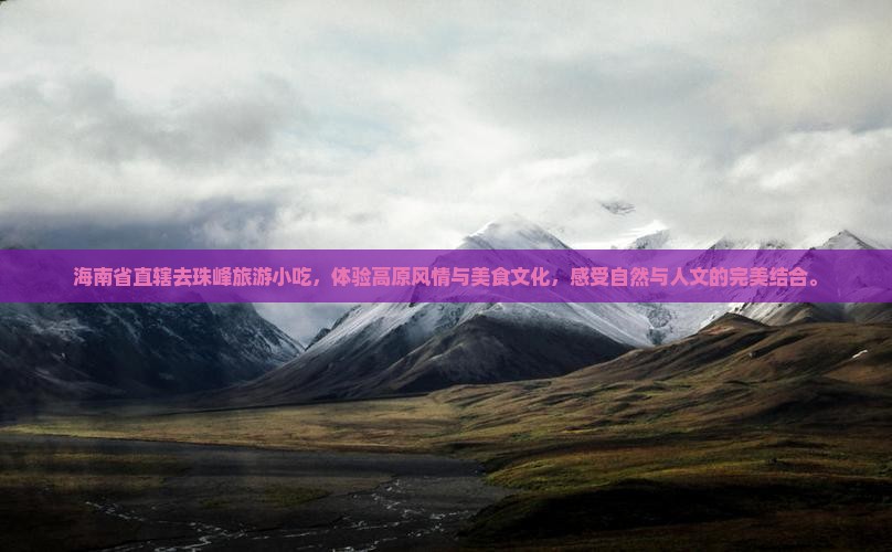 海南省直辖去西藏珠峰大本营旅游小吃