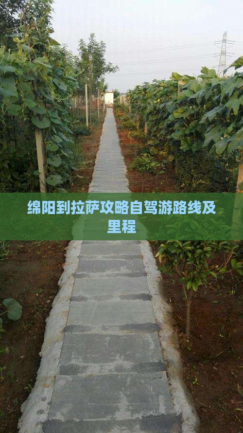 绵阳到拉萨攻略自驾游路线及里程