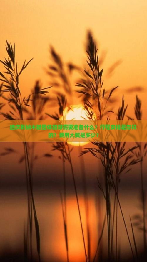 迪庆到纳木措团体旅游需要准备什么？行程安排是怎样的？费用大概是多少？
