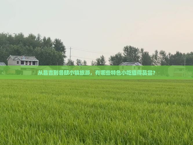 从昌吉到鲁朗小镇旅游，有哪些特色小吃值得品尝？