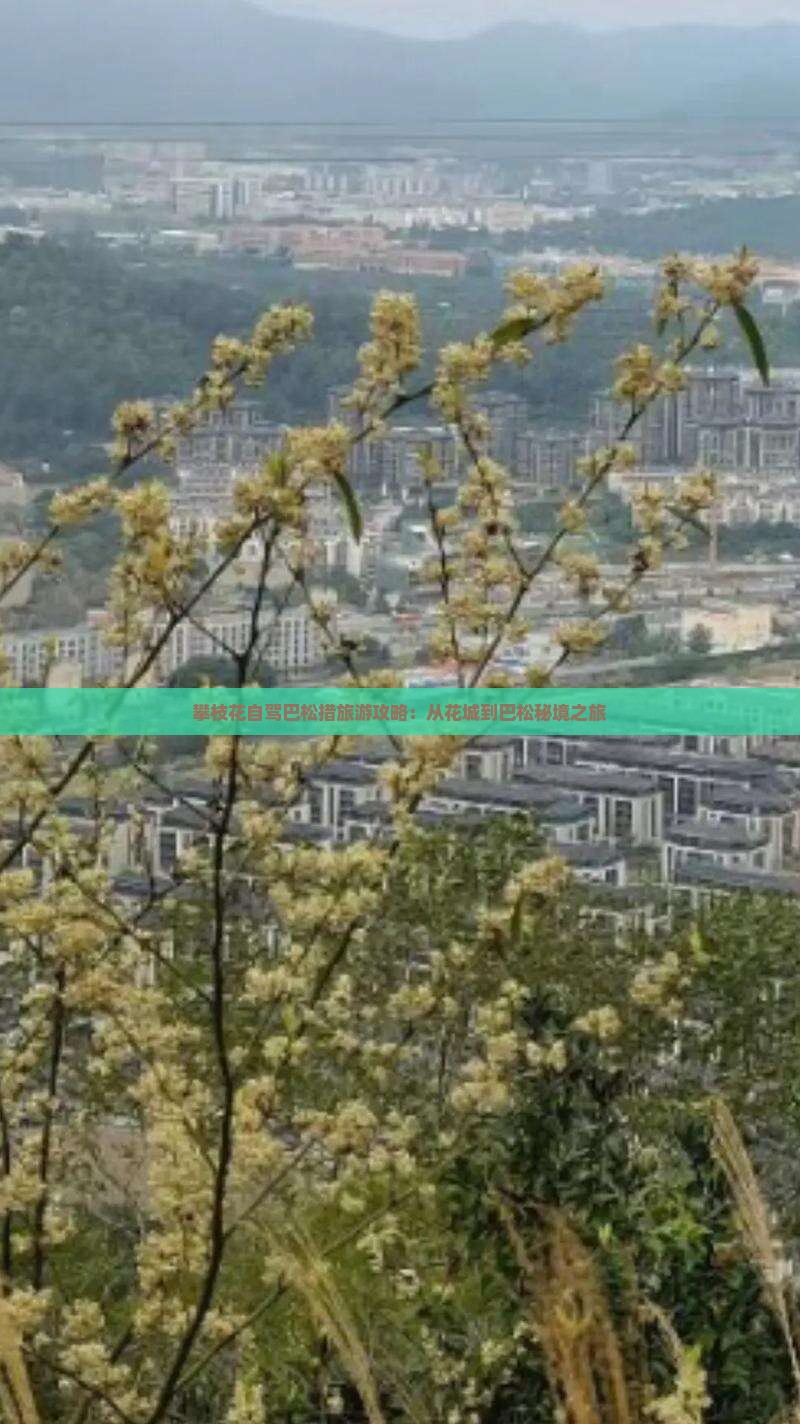 攀枝花自驾巴松措旅游攻略：从花城到巴松秘境之旅